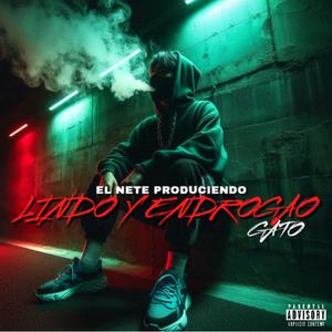 LINDO Y ENDROGAO (feat. Yeo Maloo & Aviponn Maloo)