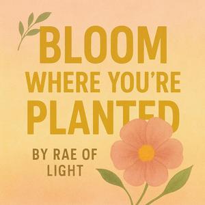 Bloom Where You’re Planted