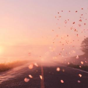 Wish You a Gentle Road