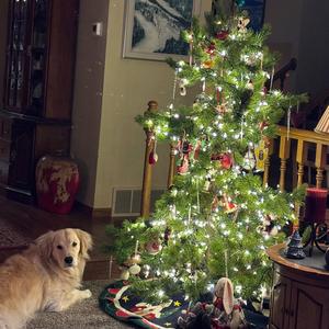 Christmas is Family (Special Version)