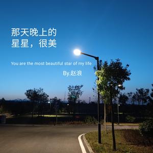 那天晚上的星星很美
