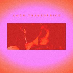 AMOR TRANSGÉNICO