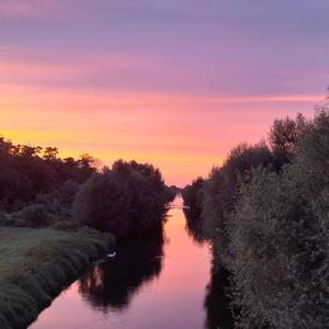 Back of Your Car – 80s Love