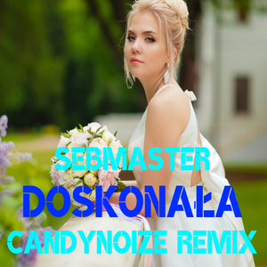 Doskonała (CandyNoize Remix)