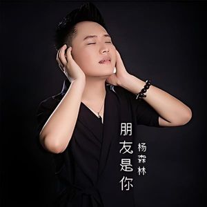 朋友是你 (DJ版)