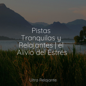 Manteniéndolo Tranquilo