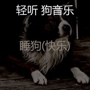睡觉的小狗-醇厚