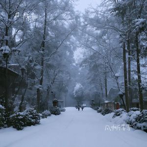 风中听落雪
