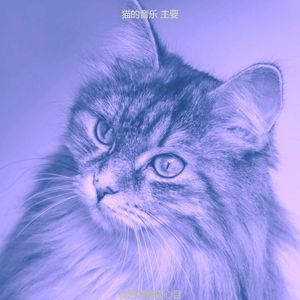抚慰的可爱的猫回忆