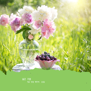 아기의 감성과 정서를 위한 아름다운 태교음악 멜로디 - 넓은 초원