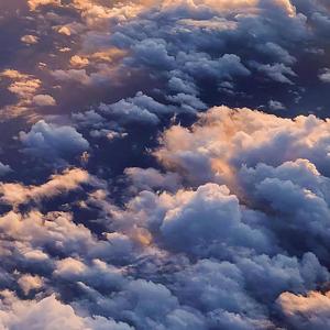 你怎么蠢到我喜欢你都不知道