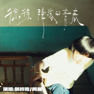 徐徐降落的青春