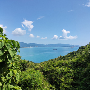 消除疲劳曲 (钢片琴-疗愈音律)