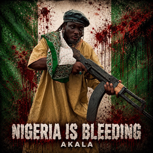 NIGERIA IS BLEEDING