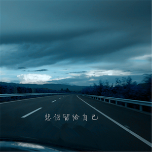 三十岁的女人（Cover 谭维维）