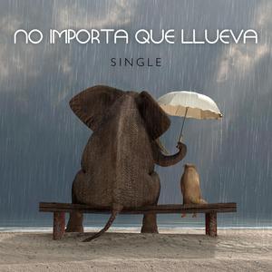 No Importa Que Llueva