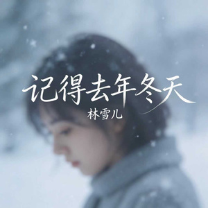 记得去年冬天