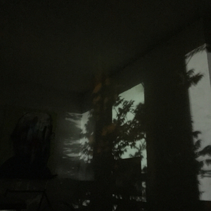 Feeling Loved Feeling ****ed