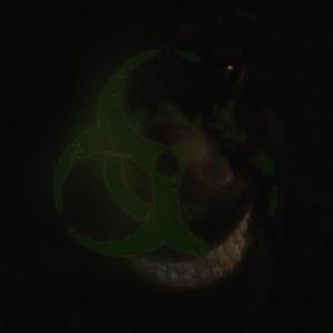 HAZMAT