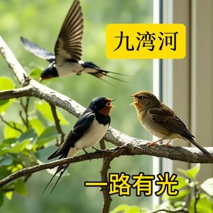 九湾河 - 一路有光   作词：吴学义  作曲：吴学义.wav