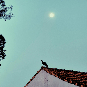 5 Prelúdios, Op. 1: No. 3