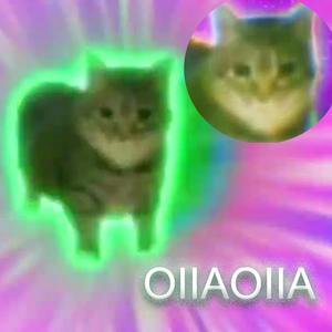 the spinning cat fullsong OIIAOIIA