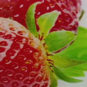 校霸抽了我800个嘴巴