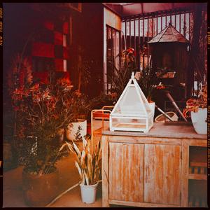 漂浮不定的旅程