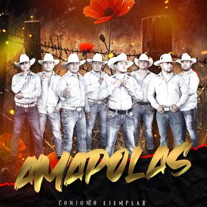 Amapolas