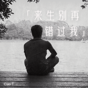 来生别再错过我（沧桑版）