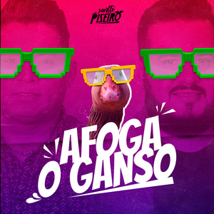 Afoga o Ganso