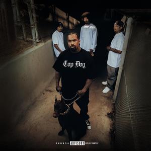 Top Dog