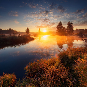 The Power Of Silence To Forge New Paths