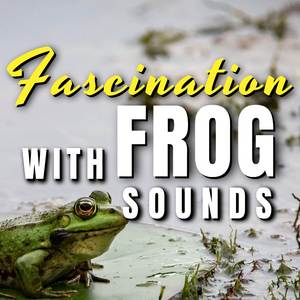 Frog Sounds