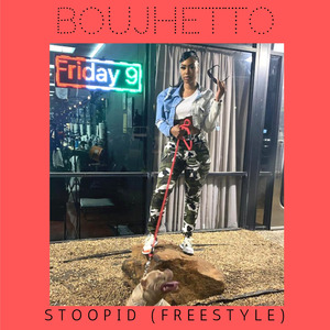 Stoopid (Freestyle)