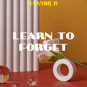 Learn to Forget