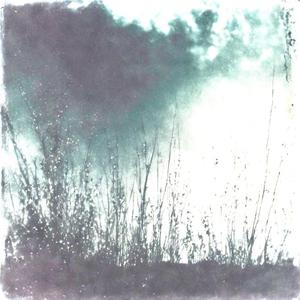 Anyway the wind is blowing