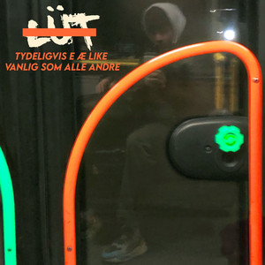 Tydeligvis E Æ Like Vanlig Som Alle Andre