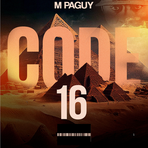 Code 16