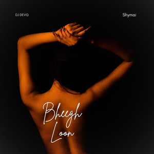 Bheegh Loon (Slowed & Reverb)