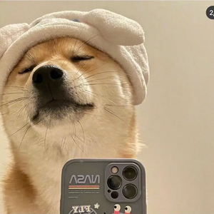 这一路关于你的风景（翻唱）