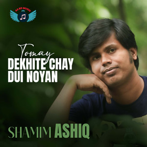 Tomay Dekhite Chay Dui Noyon