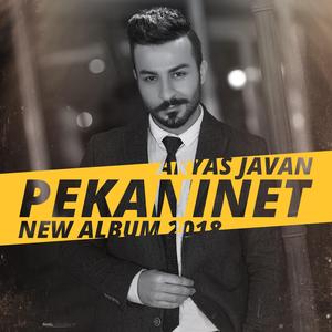 Taqanakam (DJ Mansour Remix)