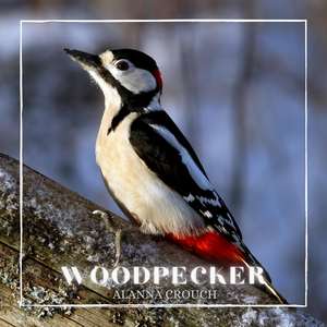 Woodpecker