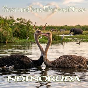 NDINOKUDA (feat. Empress Nitah)
