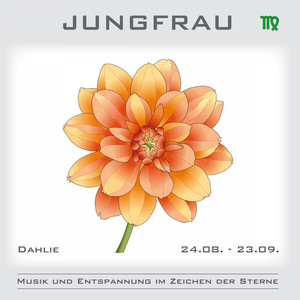 Stärken - Talente - Anlagen