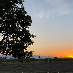 De mexico enamorada