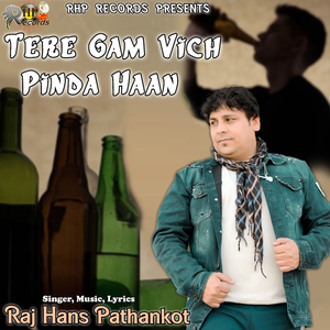 Tere Gam Vich Pinda Haan