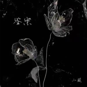 答案