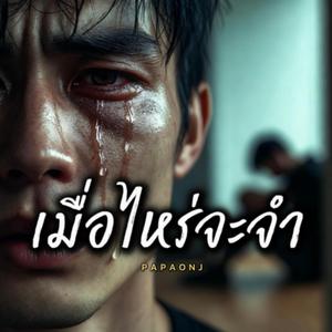 เมื่อไหร่จะจำ